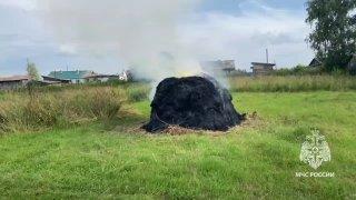 Неизвестные подожгли сено в Медяково Боготольского района. Площадь возгорания...