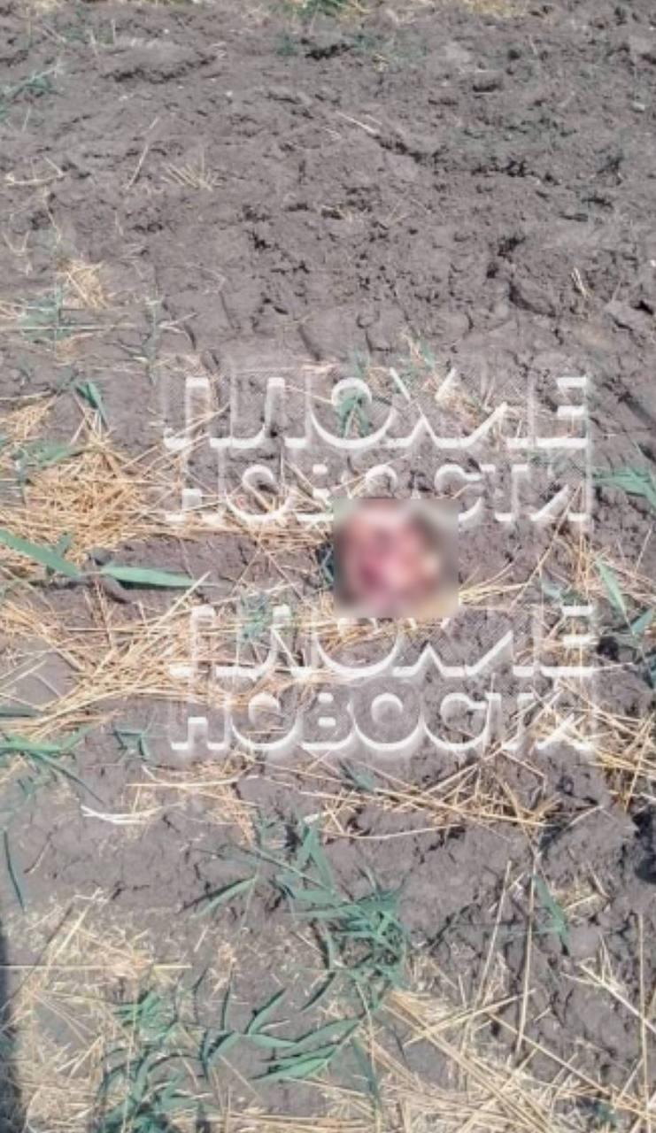 На Ставрополье мужчины отрезали приятелю голову из-за критики. Местные жители...