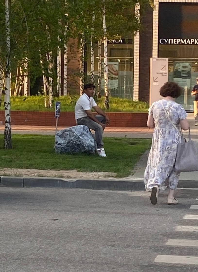 В Москве на газон установили специальный камень, чтобы cобаки справляли на него малую нужду. По задумке это должно помочь уберечь газоны.