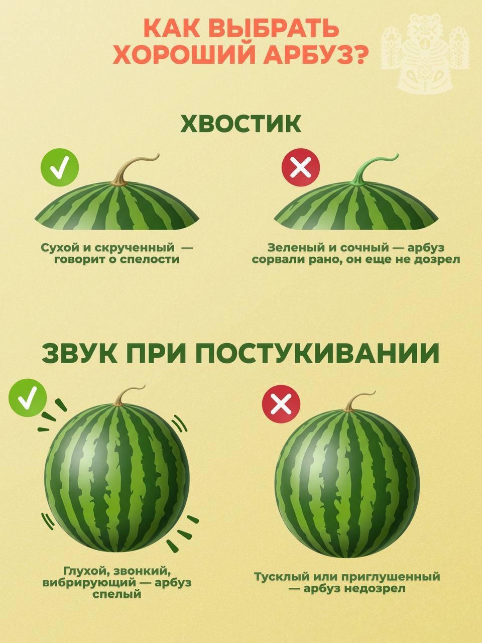🍉 Сколько стоит полакомиться арбузом во Владивостоке