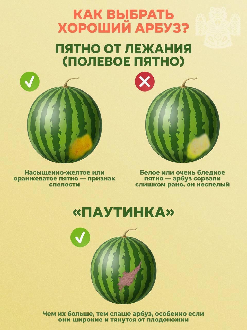 🍉 Сколько стоит полакомиться арбузом во Владивостоке