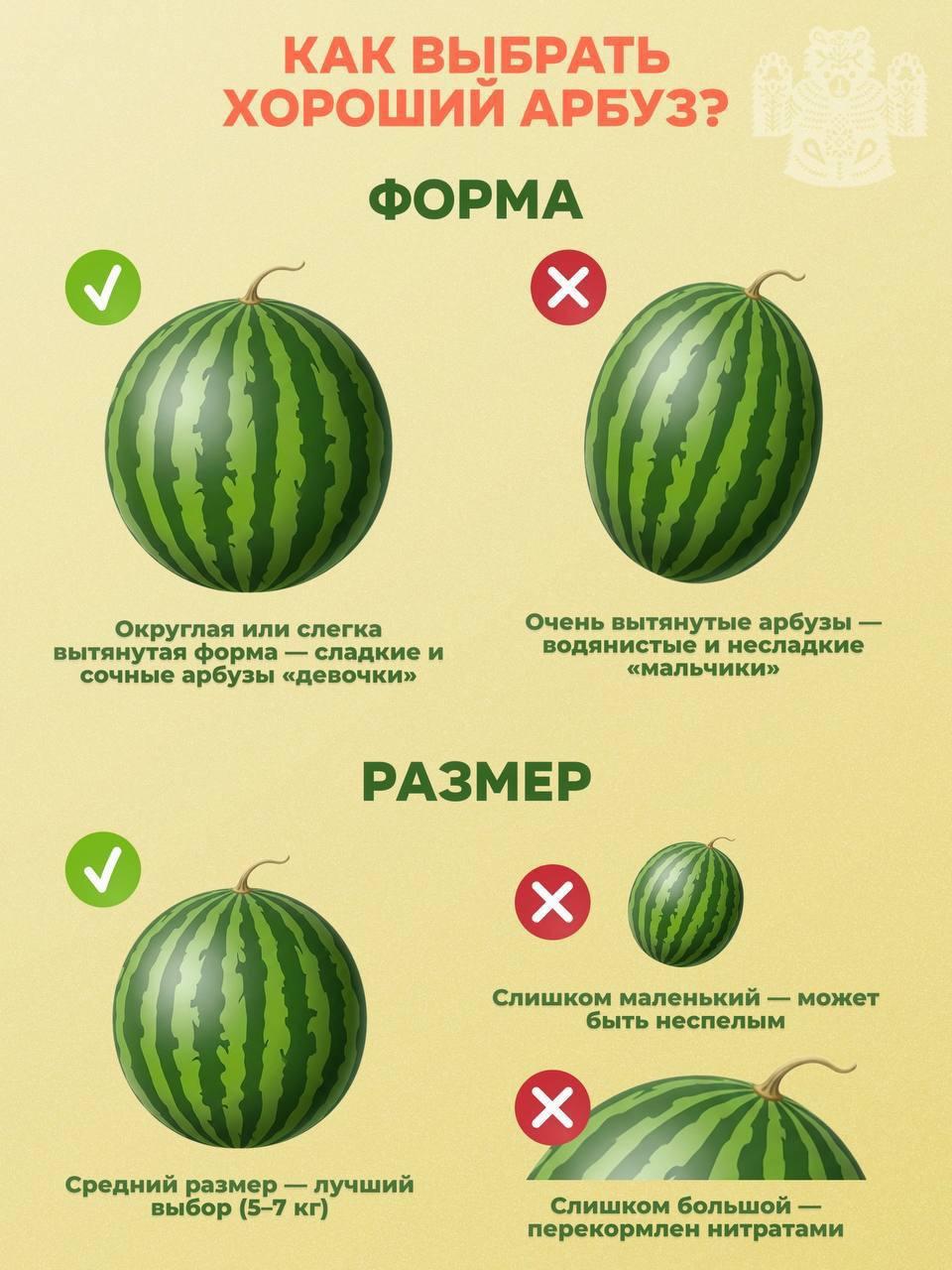 🍉 Сколько стоит полакомиться арбузом во Владивостоке