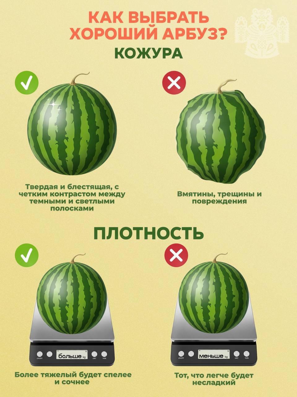 🍉 Сколько стоит полакомиться арбузом во Владивостоке