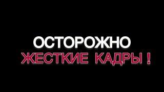 Поехал — и убил. В Красноярске водителя будут судить за наезд на пешехода. На...