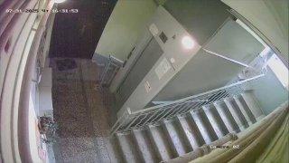 В Питере юная блондинка шокировала целый жилой дом: она обгадила весь подъезд и спокойно пошла по делам