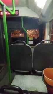 Водитель 13-го троллейбуса остановился и пошёл за пивом в Тольятти