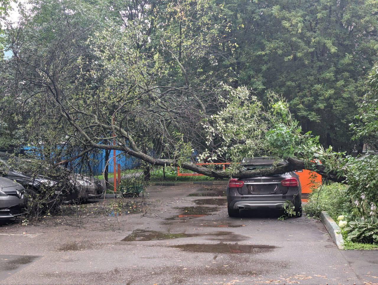 Последствия непогоды в Москве и Подмосковье — повреждено несколько...
