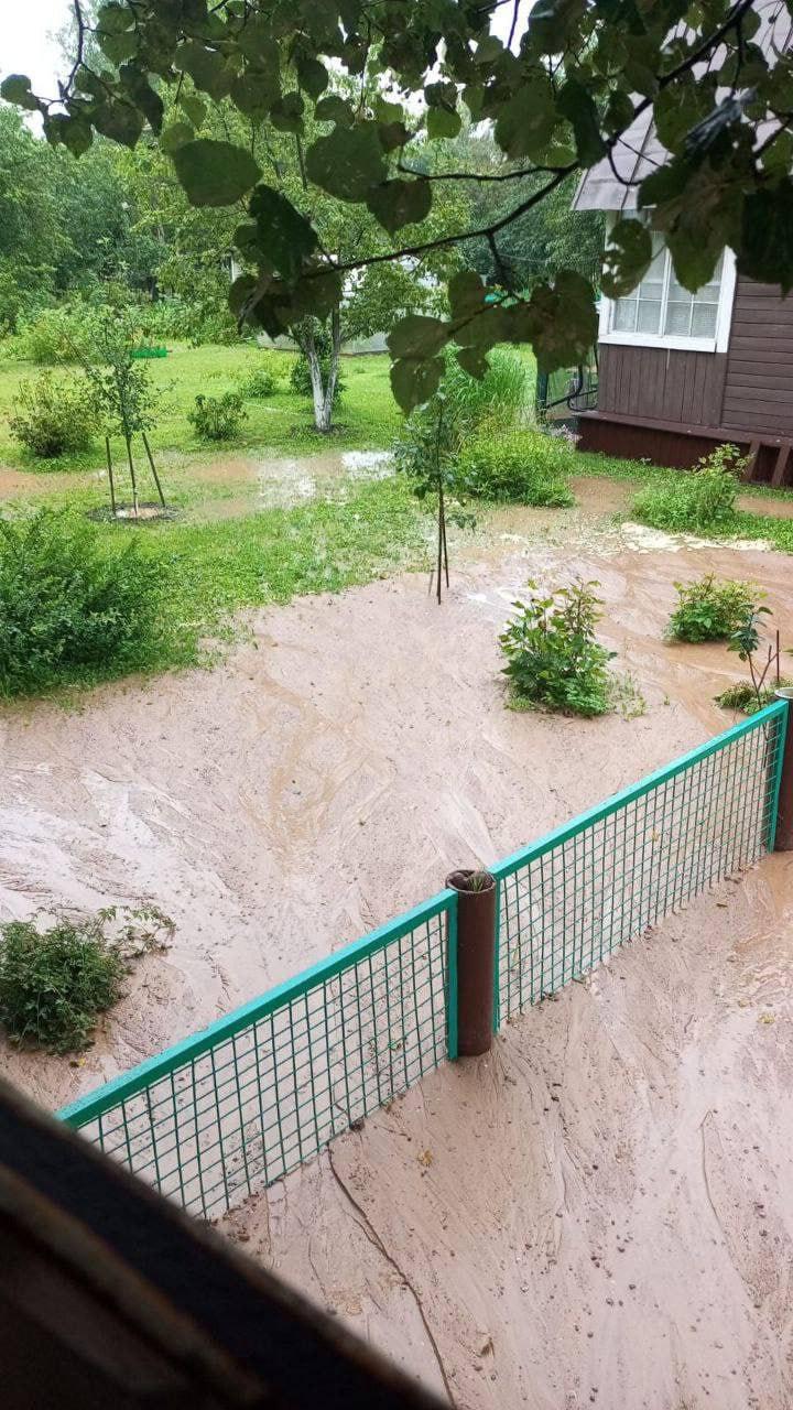 Жители СНТ «Коммунар» под Наро-Фоминском вновь пожаловались, что их участки...