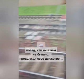 На станции в Видном двери электрички зажали руку у очень эмоциональной девушки.
