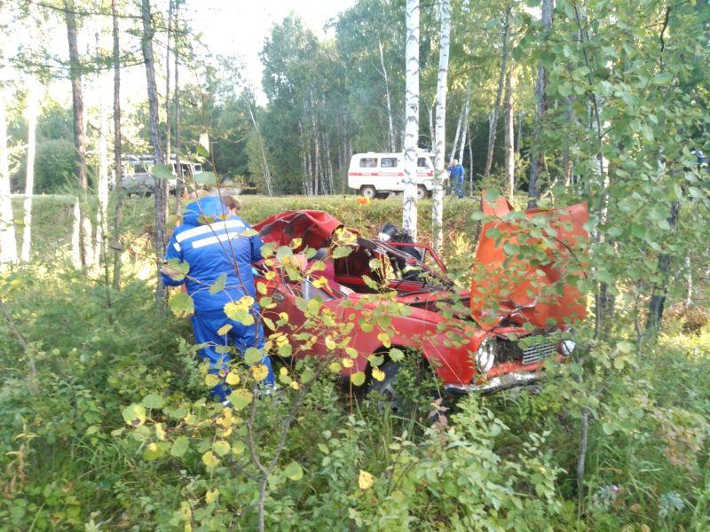 В Шарыповском районе выбежавшая на дорогу лошадь столкнулась с автомобилем: погибло и само животное, и молодой водитель.