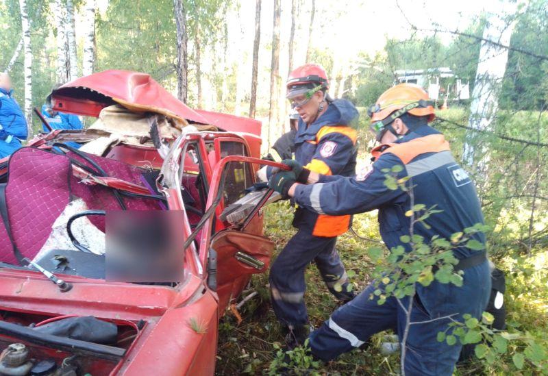 В Шарыповском районе выбежавшая на дорогу лошадь столкнулась с автомобилем: погибло и само животное, и молодой водитель.