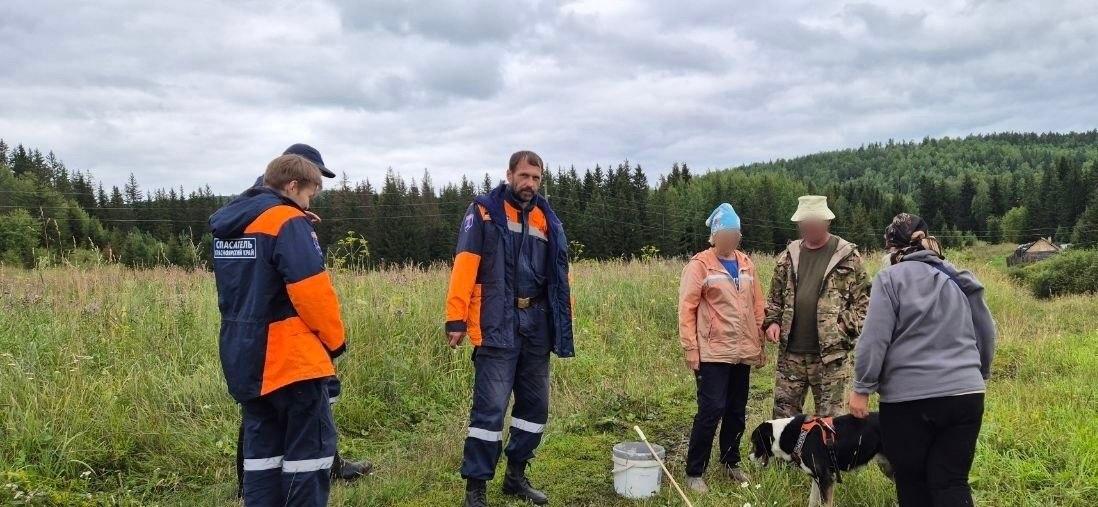 Спасатели вывели из тайги новую группу заблудившихся грибников