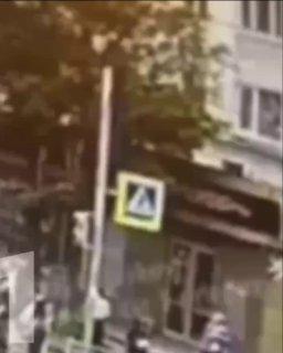 В Калининграде бойцовская собака разорвала лицо 12-летней девочке