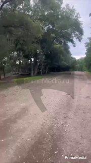 🛠Дорогу засыпали саморезами и перегородили плитами под Владивостоком