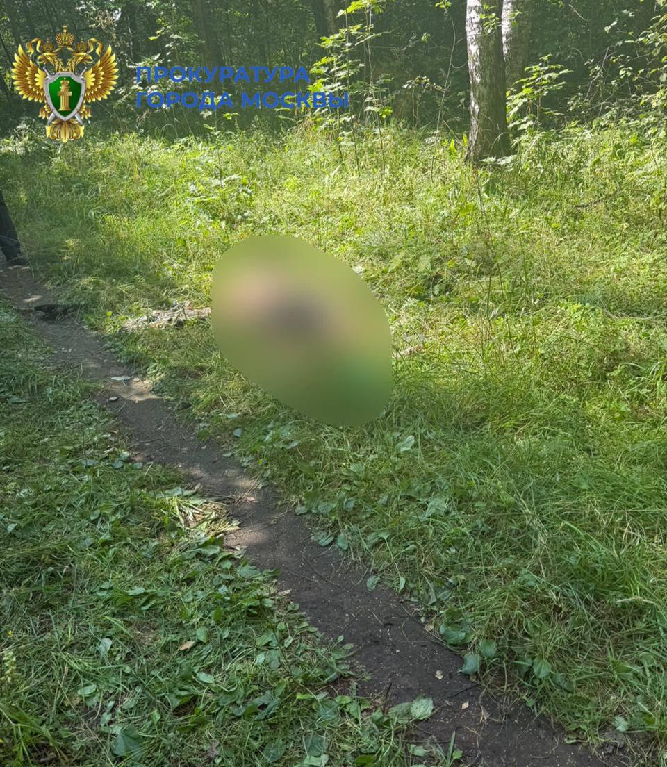 На юго-востоке Москвы в лесополосе обнаружено тело мужчины с множеством...