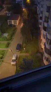 На Новомарьинской улице женщина под покровом ночи спилила молодое деревце....