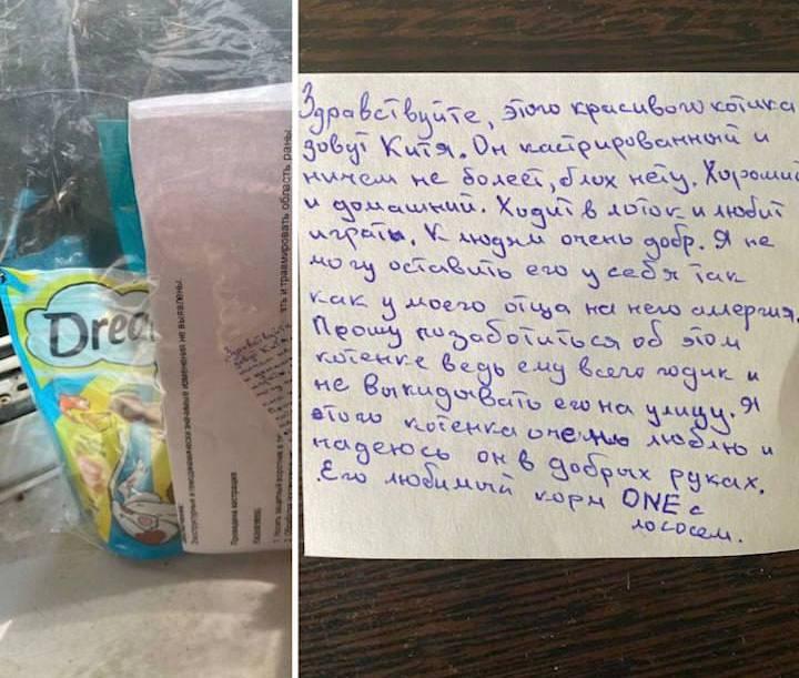 Петербурженке с тяжёлой астмой подбросили кота в окно, что могло стоить ей...