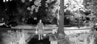 Петербурженке с тяжёлой астмой подбросили кота в окно, что могло стоить ей...
