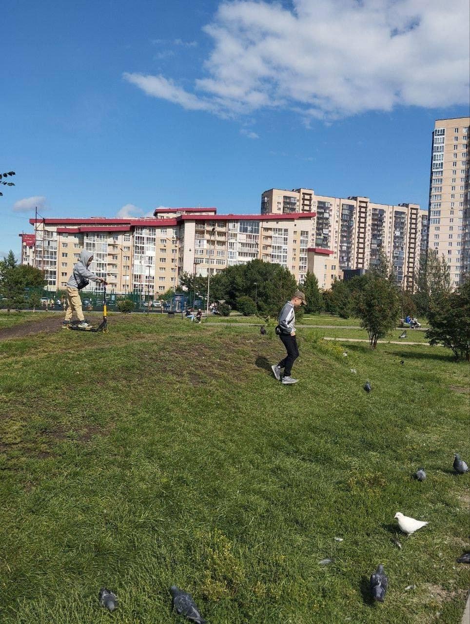 Дети убили утку в парке 400-летят Красноярска. По словам очевидцев, два...