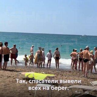 Акулы подплыли вплотную к пляжу с российскими туристами в турецком Бодруме....
