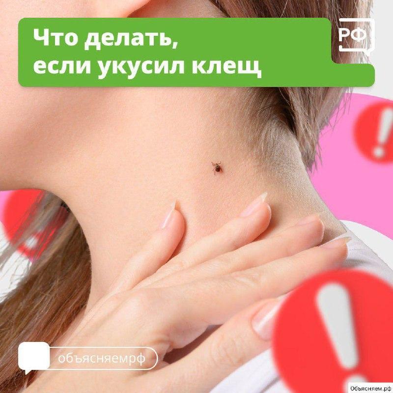 🪲 Что делать при укусе клеща — рассказали жителям Приморья По данным от...