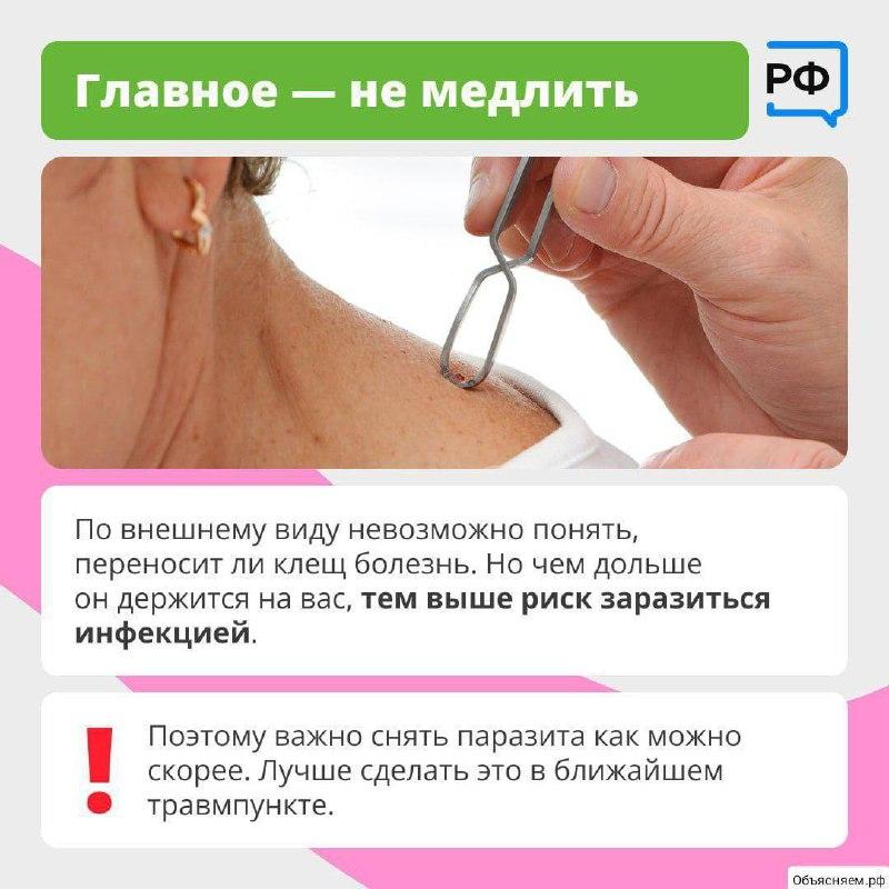 🪲 Что делать при укусе клеща — рассказали жителям Приморья По данным от...