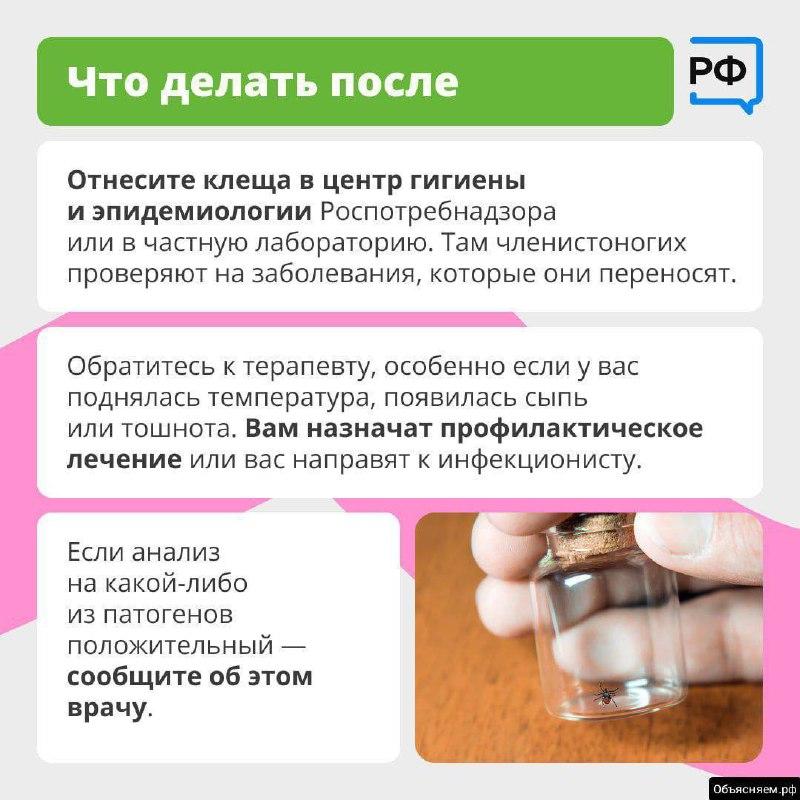 🪲 Что делать при укусе клеща — рассказали жителям Приморья По данным от...