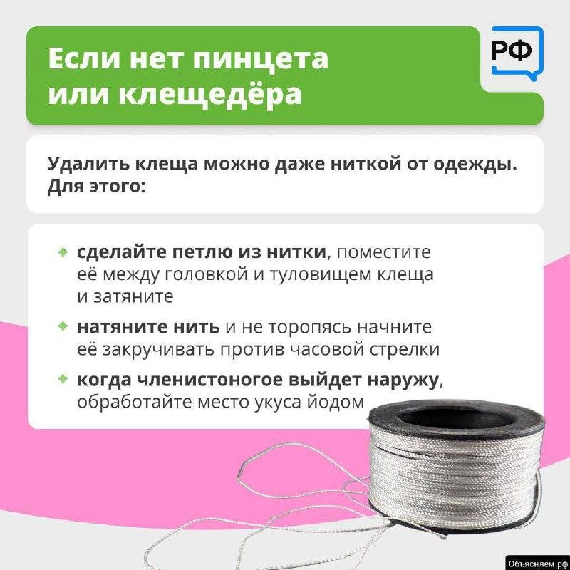 🪲 Что делать при укусе клеща — рассказали жителям Приморья По данным от...