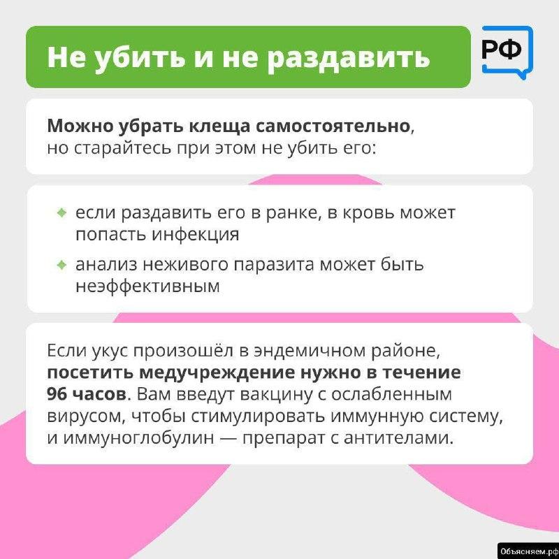 🪲 Что делать при укусе клеща — рассказали жителям Приморья По данным от...