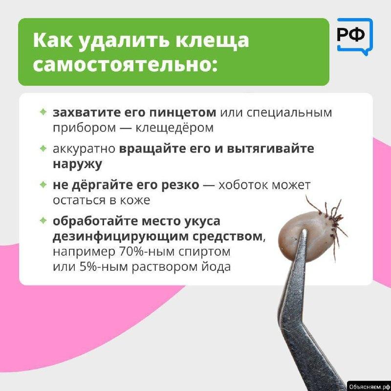 🪲 Что делать при укусе клеща — рассказали жителям Приморья По данным от...