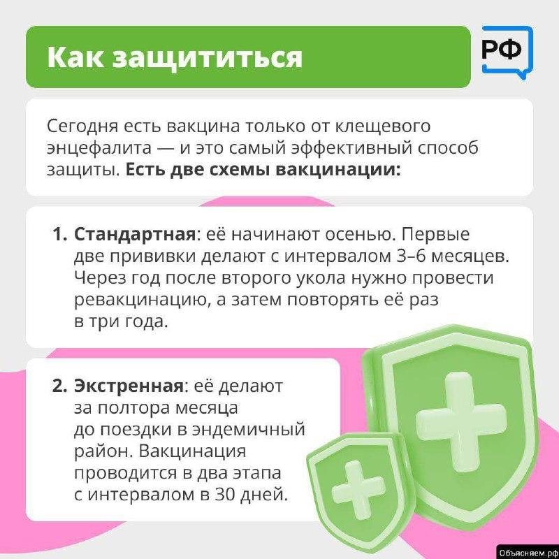 🪲 Что делать при укусе клеща — рассказали жителям Приморья По данным от...