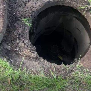 Черепашка-ниндзя из Питера пробил головой автобус на Международной, а после...
