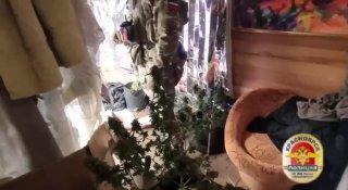 Житель Красноярска предстанет перед судом за покушение на незаконный сбыт...