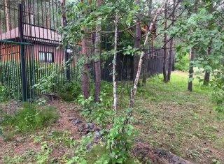 После вмешательства природоохранной прокуратуры на Иркутском водохранилище...
