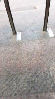 Неравнодушная москвичка попыталась пресечь незаконную торговлю, но не вышло