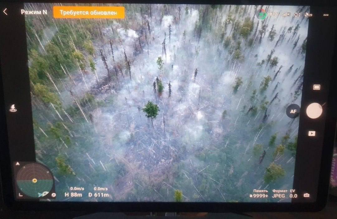 В Красноярском крае дроны помогли выявить незаконные вырубки и свалки в лесах...