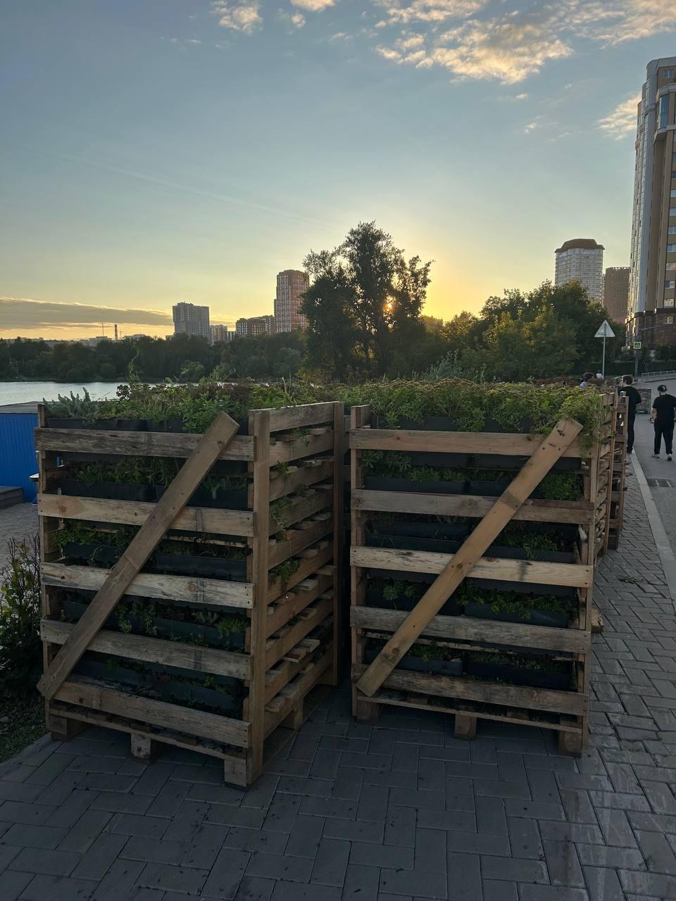 В Екатеринбурге установливают крупнейшую вертикальную цветочную картину в России
