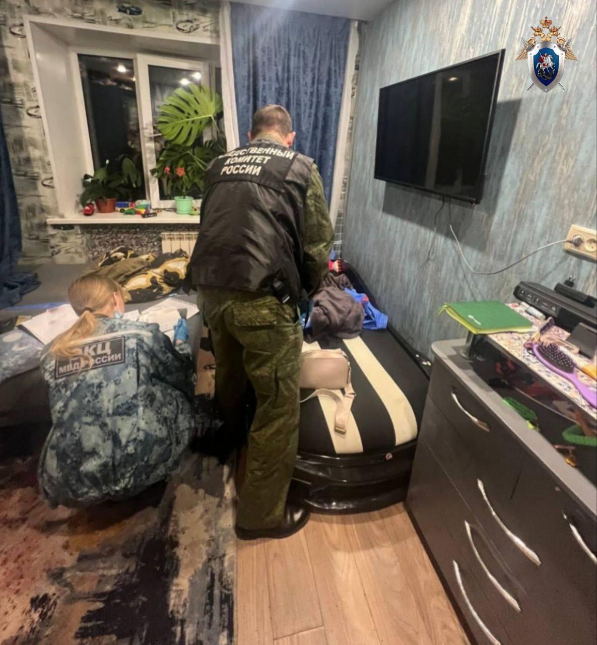В Красноярске мать порезала своего 3-летнего сына 37-летняя красноярка...
