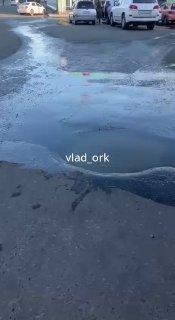 🤧 Нестерпимая вонь и антисанитария наблюдается уже не первый день на территории между овощным рынком и супермаркетом «Реми» по ул. Шуйской, 23а во Владивостоке.
