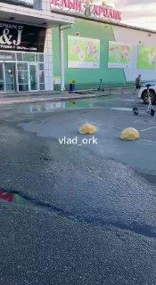 🤧 Нестерпимая вонь и антисанитария наблюдается уже не первый день на территории между овощным рынком и супермаркетом «Реми» по ул. Шуйской, 23а во Владивостоке.