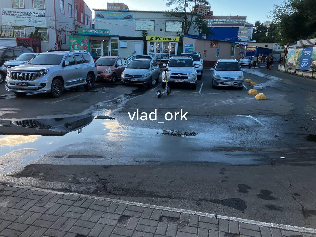 🤧 Нестерпимая вонь и антисанитария наблюдается уже не первый день на территории между овощным рынком и супермаркетом «Реми» по ул. Шуйской, 23а во Владивостоке.