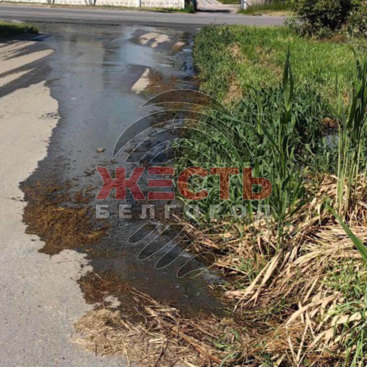 Жители ул. Промышленная в Белгороде жалуются на нескончаемый поток воды.
