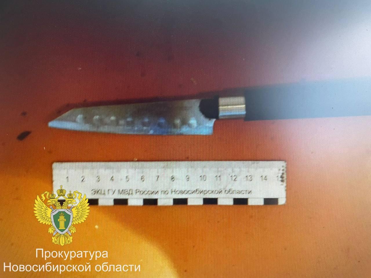 В Новосибирской области мужчина едва не убил сожительницу и ее ребенка