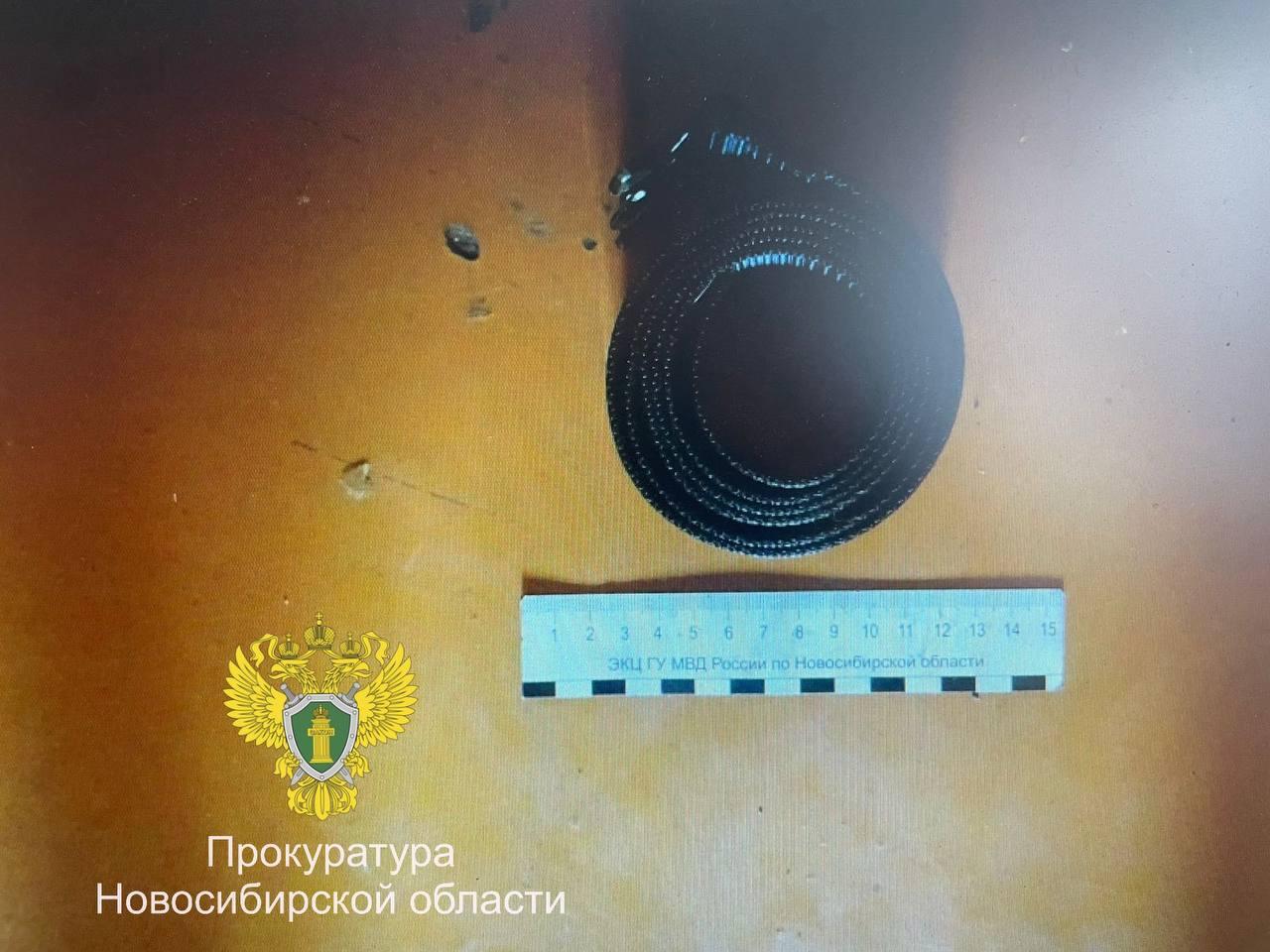 В Новосибирской области мужчина едва не убил сожительницу и ее ребенка