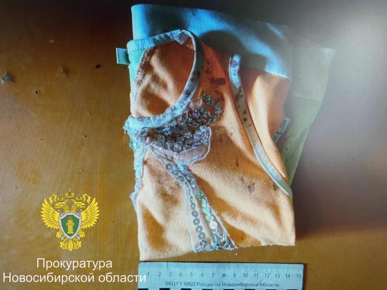 В Новосибирской области мужчина едва не убил сожительницу и ее ребенка