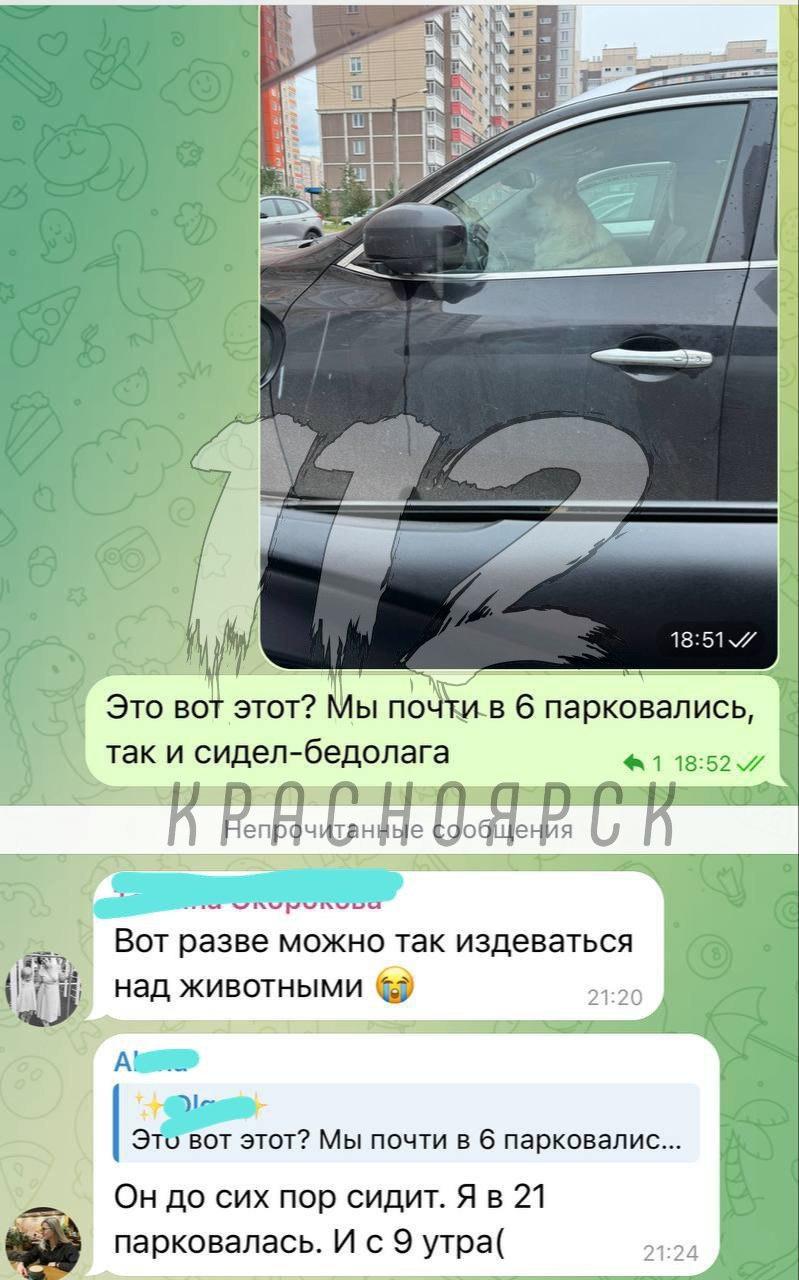 В Покровке собака весь день была заперта в машине, пока хозяйка была на работе.