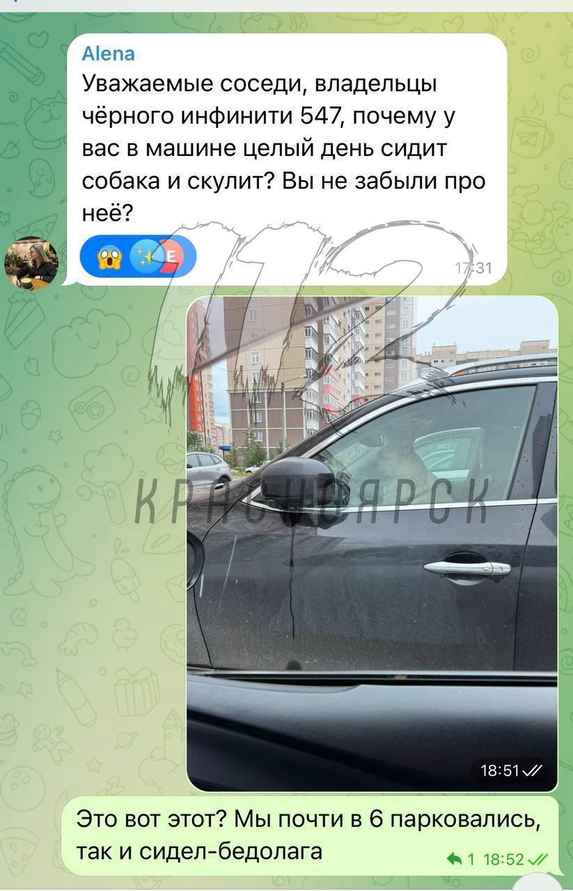 В Покровке собака весь день была заперта в машине, пока хозяйка была на работе.