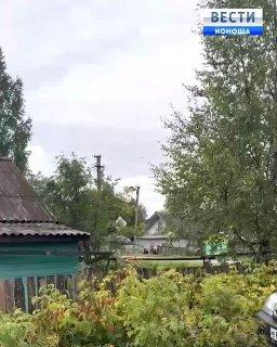 В Архангельской области поджигатель релейного шкафа убил сотрудника полиции