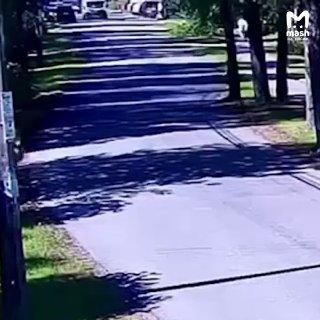 Двухлетнего малыша, резко выбежавшего из частного дома в Песочном, сбила...