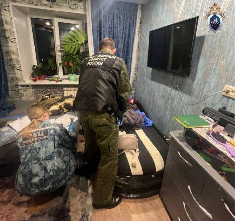 Журналисты узнали подробности нападения красноярки на трехлетнего сына Мать...